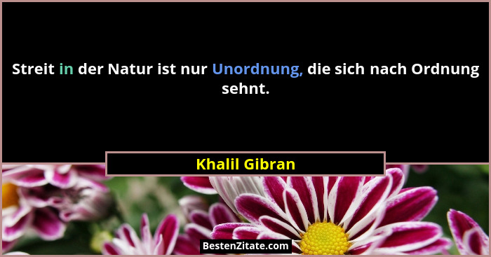 Streit in der Natur ist nur Unordnung, die sich nach Ordnung sehnt.... - Khalil Gibran