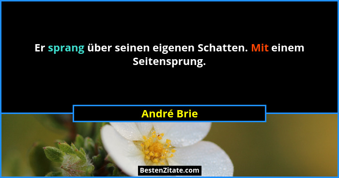 Er sprang über seinen eigenen Schatten. Mit einem Seitensprung.... - André Brie