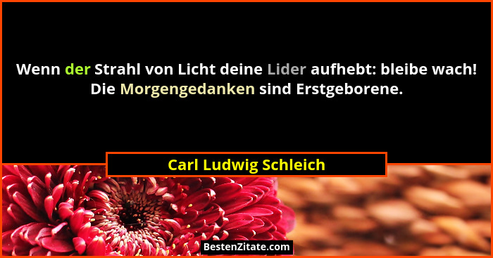 Wenn der Strahl von Licht deine Lider aufhebt: bleibe wach! Die Morgengedanken sind Erstgeborene.... - Carl Ludwig Schleich