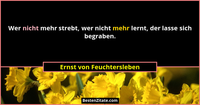 Wer nicht mehr strebt, wer nicht mehr lernt, der lasse sich begraben.... - Ernst von Feuchtersleben