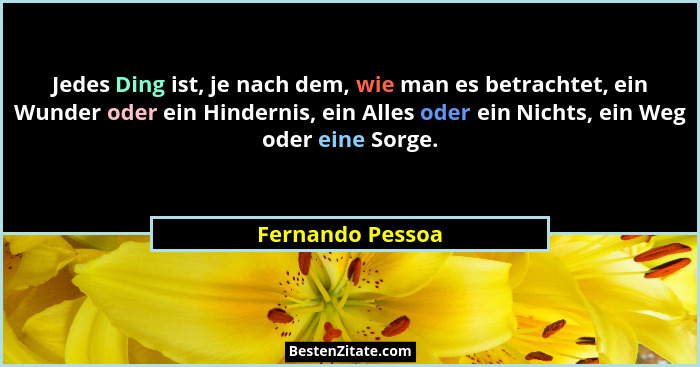 Jedes Ding ist, je nach dem, wie man es betrachtet, ein Wunder oder ein Hindernis, ein Alles oder ein Nichts, ein Weg oder eine Sorg... - Fernando Pessoa