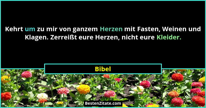Kehrt um zu mir von ganzem Herzen mit Fasten, Weinen und Klagen. Zerreißt eure Herzen, nicht eure Kleider.... - Bibel