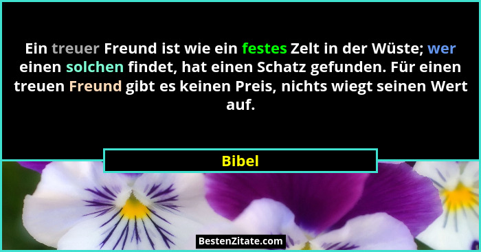 Ein treuer Freund ist wie ein festes Zelt in der Wüste; wer einen solchen findet, hat einen Schatz gefunden. Für einen treuen Freund gibt es k... - Bibel