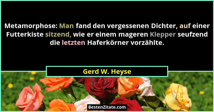 Metamorphose: Man fand den vergessenen Dichter, auf einer Futterkiste sitzend, wie er einem mageren Klepper seufzend die letzten Hafer... - Gerd W. Heyse