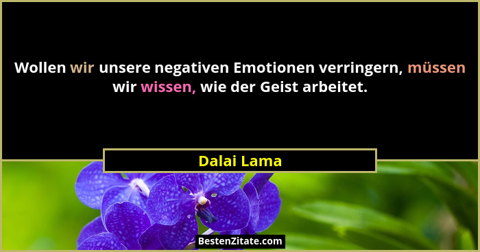 Wollen wir unsere negativen Emotionen verringern, müssen wir wissen, wie der Geist arbeitet.... - Dalai Lama