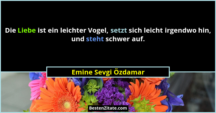 Die Liebe ist ein leichter Vogel, setzt sich leicht irgendwo hin, und steht schwer auf.... - Emine Sevgi Özdamar