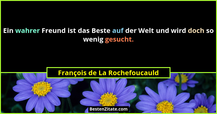 Ein wahrer Freund ist das Beste auf der Welt und wird doch so wenig gesucht.... - François de La Rochefoucauld