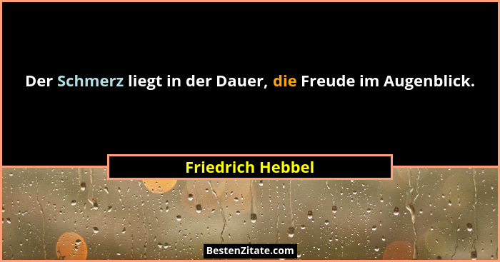 Der Schmerz liegt in der Dauer, die Freude im Augenblick.... - Friedrich Hebbel