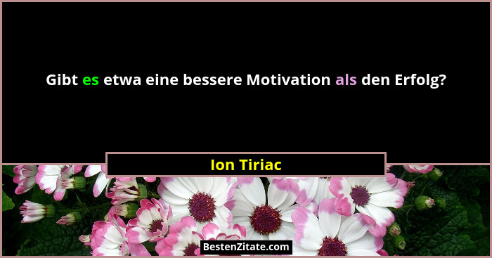 Gibt es etwa eine bessere Motivation als den Erfolg?... - Ion Tiriac