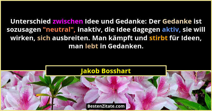 Unterschied zwischen Idee und Gedanke: Der Gedanke ist sozusagen "neutral", inaktiv, die Idee dagegen aktiv, sie will wirken,... - Jakob Bosshart
