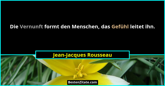 Die Vernunft formt den Menschen, das Gefühl leitet ihn.... - Jean-Jacques Rousseau