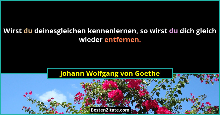 Wirst du deinesgleichen kennenlernen, so wirst du dich gleich wieder entfernen.... - Johann Wolfgang von Goethe