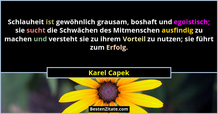 Schlauheit ist gewöhnlich grausam, boshaft und egoistisch; sie sucht die Schwächen des Mitmenschen ausfindig zu machen und versteht sie... - Karel Capek