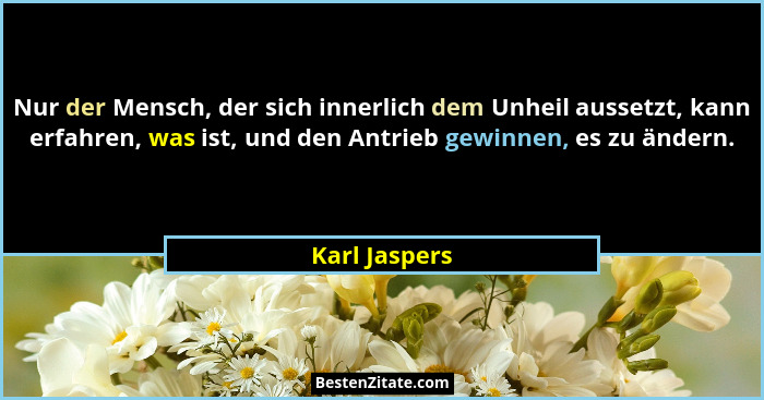 Nur der Mensch, der sich innerlich dem Unheil aussetzt, kann erfahren, was ist, und den Antrieb gewinnen, es zu ändern.... - Karl Jaspers