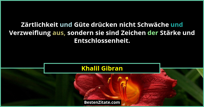 Zärtlichkeit und Güte drücken nicht Schwäche und Verzweiflung aus, sondern sie sind Zeichen der Stärke und Entschlossenheit.... - Khalil Gibran