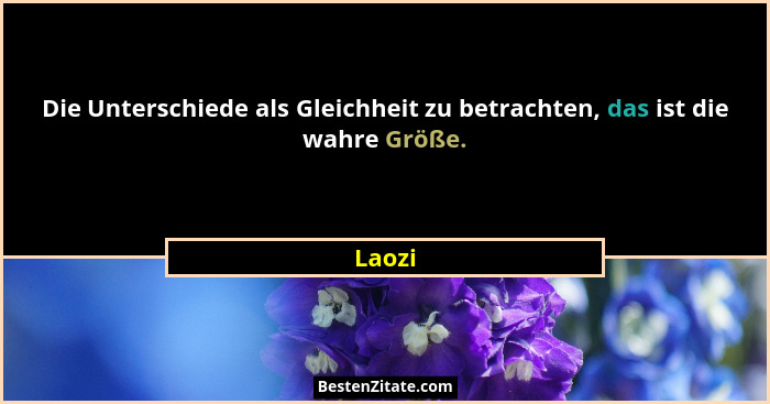 Die Unterschiede als Gleichheit zu betrachten, das ist die wahre Größe.... - Laozi