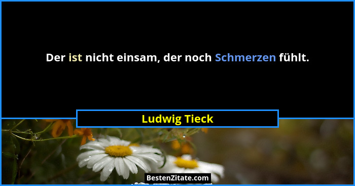 Der ist nicht einsam, der noch Schmerzen fühlt.... - Ludwig Tieck