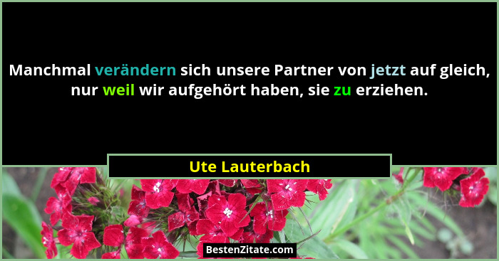 Manchmal verändern sich unsere Partner von jetzt auf gleich, nur weil wir aufgehört haben, sie zu erziehen.... - Ute Lauterbach