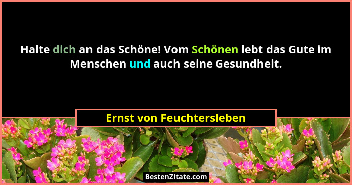 Halte dich an das Schöne! Vom Schönen lebt das Gute im Menschen und auch seine Gesundheit.... - Ernst von Feuchtersleben