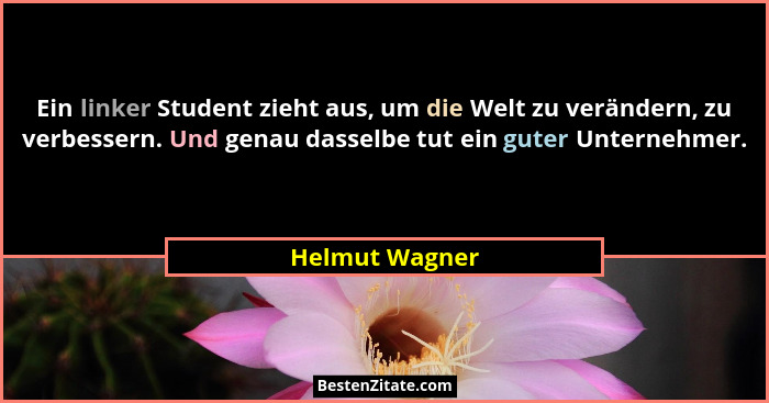 Ein linker Student zieht aus, um die Welt zu verändern, zu verbessern. Und genau dasselbe tut ein guter Unternehmer.... - Helmut Wagner