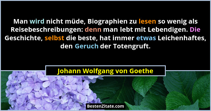 Man wird nicht müde, Biographien zu lesen so wenig als Reisebeschreibungen: denn man lebt mit Lebendigen. Die Geschichte,... - Johann Wolfgang von Goethe