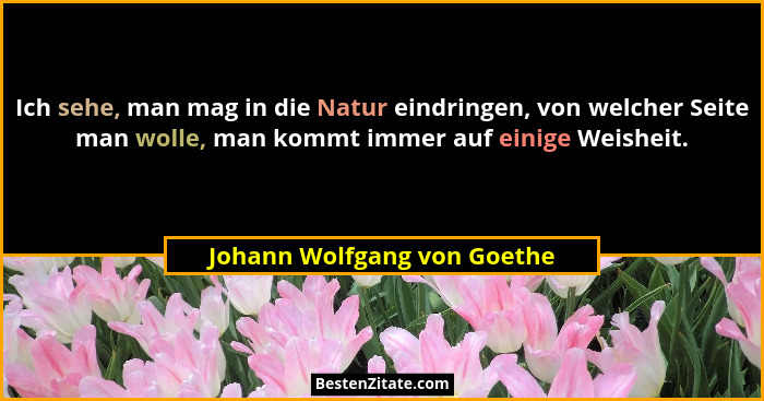 Ich sehe, man mag in die Natur eindringen, von welcher Seite man wolle, man kommt immer auf einige Weisheit.... - Johann Wolfgang von Goethe