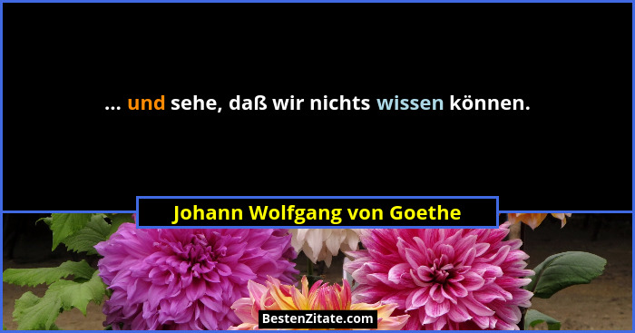 ... und sehe, daß wir nichts wissen können.... - Johann Wolfgang von Goethe