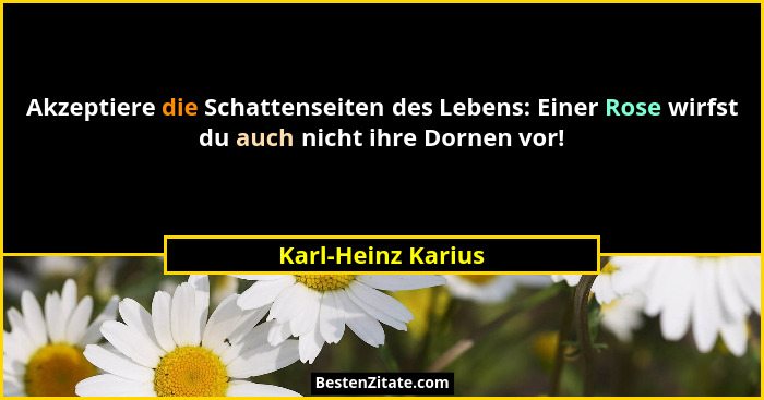 Akzeptiere die Schattenseiten des Lebens: Einer Rose wirfst du auch nicht ihre Dornen vor!... - Karl-Heinz Karius