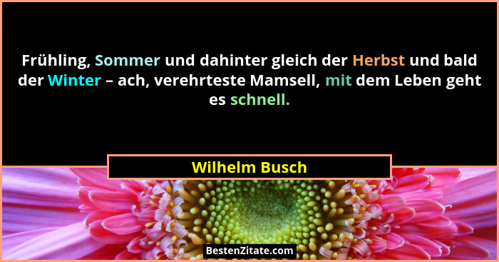 Frühling, Sommer und dahinter gleich der Herbst und bald der Winter – ach, verehrteste Mamsell, mit dem Leben geht es schnell.... - Wilhelm Busch