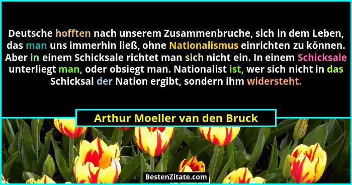Deutsche hofften nach unserem Zusammenbruche, sich in dem Leben, das man uns immerhin ließ, ohne Nationalismus einricht... - Arthur Moeller van den Bruck