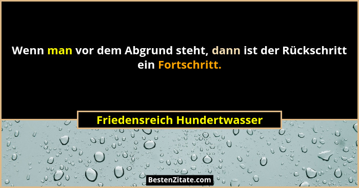 Wenn man vor dem Abgrund steht, dann ist der Rückschritt ein Fortschritt.... - Friedensreich Hundertwasser