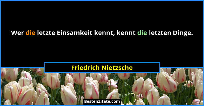 Wer die letzte Einsamkeit kennt, kennt die letzten Dinge.... - Friedrich Nietzsche