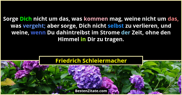 Sorge Dich nicht um das, was kommen mag, weine nicht um das, was vergeht; aber sorge, Dich nicht selbst zu verlieren, und w... - Friedrich Schleiermacher