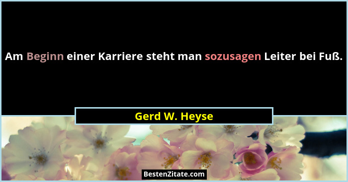 Am Beginn einer Karriere steht man sozusagen Leiter bei Fuß.... - Gerd W. Heyse