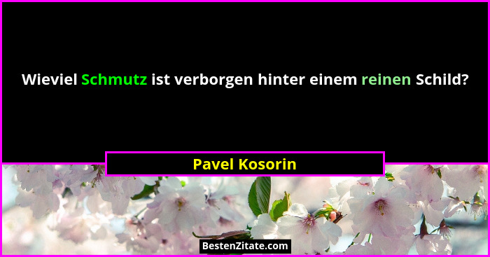 Wieviel Schmutz ist verborgen hinter einem reinen Schild?... - Pavel Kosorin