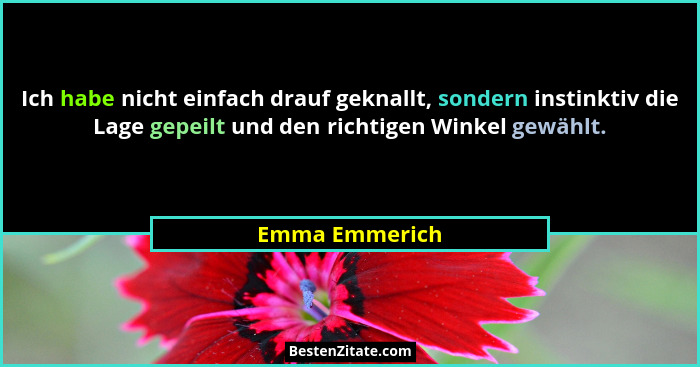 Ich habe nicht einfach drauf geknallt, sondern instinktiv die Lage gepeilt und den richtigen Winkel gewählt.... - Emma Emmerich