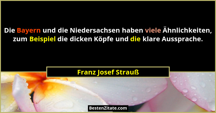 Die Bayern und die Niedersachsen haben viele Ähnlichkeiten, zum Beispiel die dicken Köpfe und die klare Aussprache.... - Franz Josef Strauß