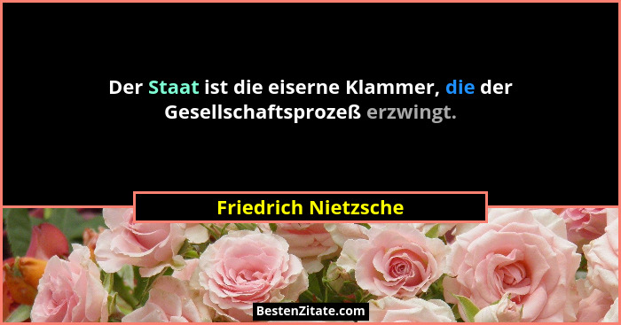 Der Staat ist die eiserne Klammer, die der Gesellschaftsprozeß erzwingt.... - Friedrich Nietzsche