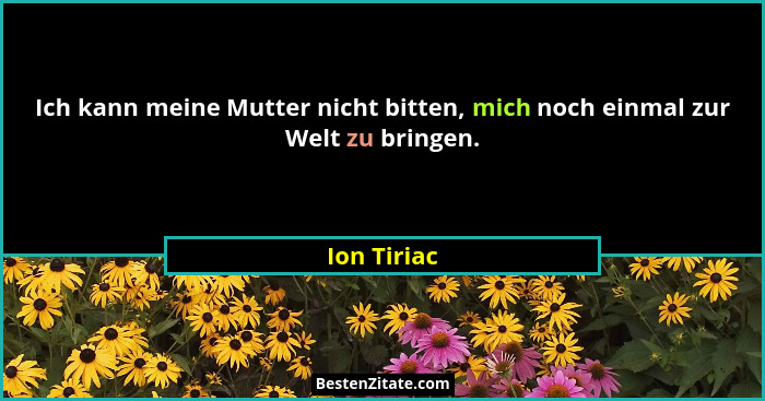 Ich kann meine Mutter nicht bitten, mich noch einmal zur Welt zu bringen.... - Ion Tiriac