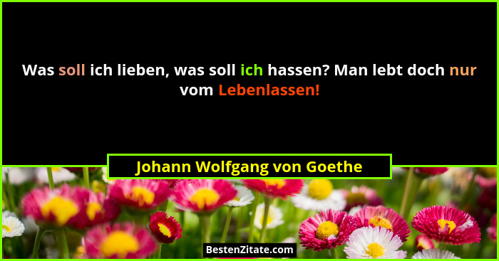 Was soll ich lieben, was soll ich hassen? Man lebt doch nur vom Lebenlassen!... - Johann Wolfgang von Goethe