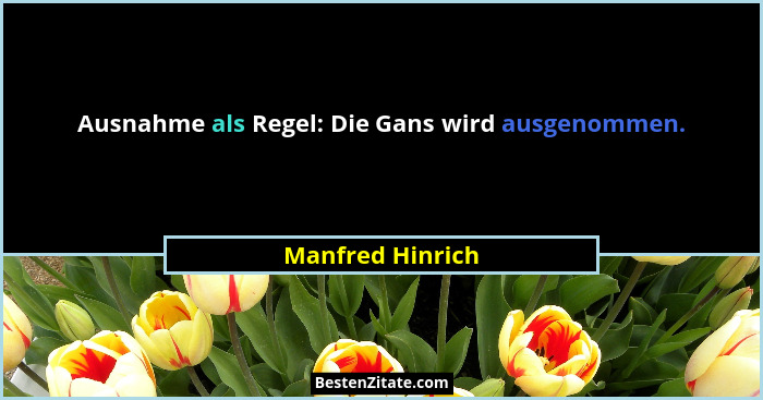 Ausnahme als Regel: Die Gans wird ausgenommen.... - Manfred Hinrich