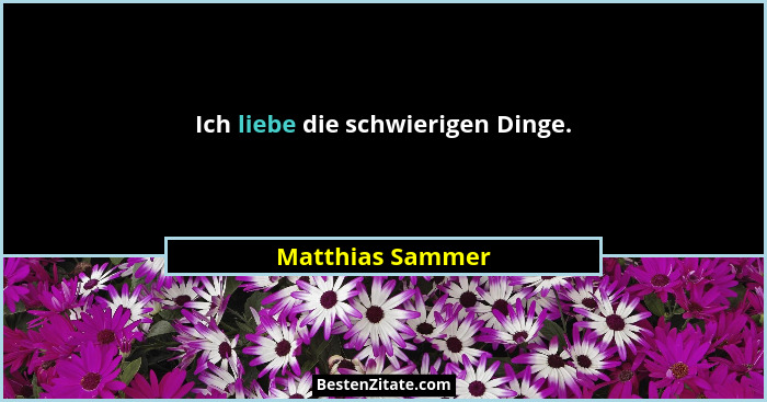 Ich liebe die schwierigen Dinge.... - Matthias Sammer