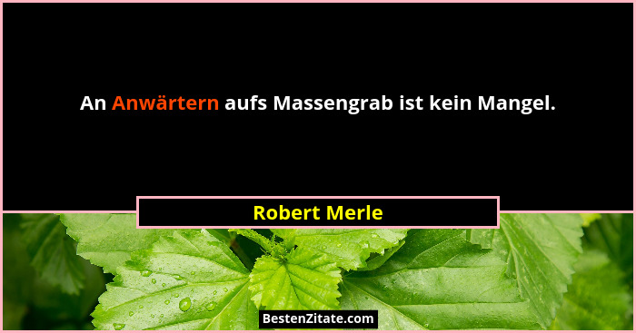 An Anwärtern aufs Massengrab ist kein Mangel.... - Robert Merle