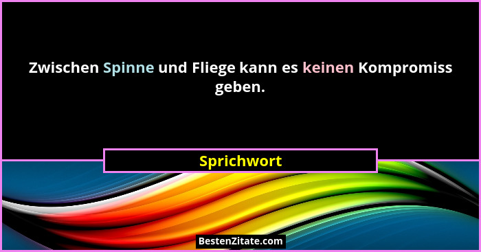 Zwischen Spinne und Fliege kann es keinen Kompromiss geben.... - Sprichwort
