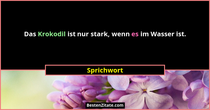 Das Krokodil ist nur stark, wenn es im Wasser ist.... - Sprichwort