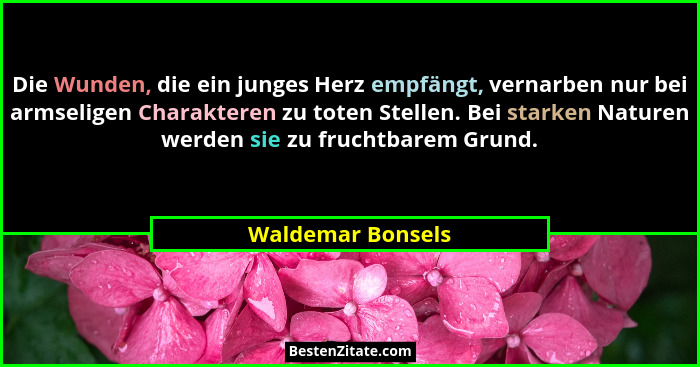 Die Wunden, die ein junges Herz empfängt, vernarben nur bei armseligen Charakteren zu toten Stellen. Bei starken Naturen werden sie... - Waldemar Bonsels