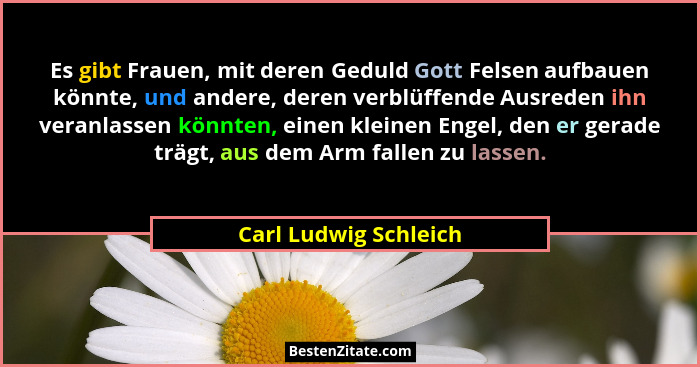 Es gibt Frauen, mit deren Geduld Gott Felsen aufbauen könnte, und andere, deren verblüffende Ausreden ihn veranlassen könnten,... - Carl Ludwig Schleich