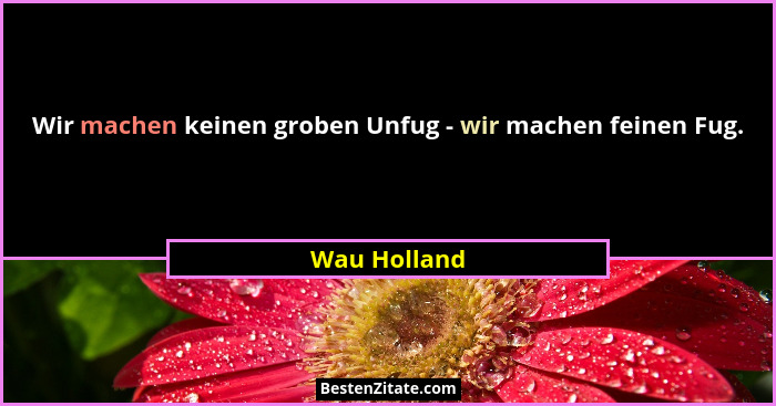 Wir machen keinen groben Unfug - wir machen feinen Fug.... - Wau Holland