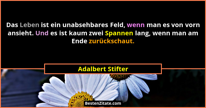 Das Leben ist ein unabsehbares Feld, wenn man es von vorn ansieht. Und es ist kaum zwei Spannen lang, wenn man am Ende zurückschaut... - Adalbert Stifter