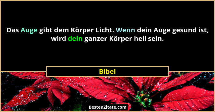 Das Auge gibt dem Körper Licht. Wenn dein Auge gesund ist, wird dein ganzer Körper hell sein.... - Bibel